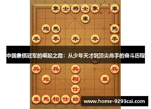 中国象棋冠军的崛起之路：从少年天才到顶尖高手的奋斗历程